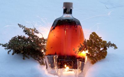 Feeling Bitter About Valentine’s Day?